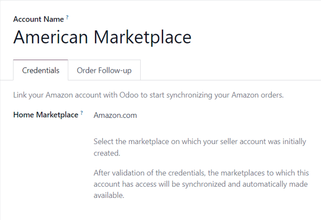 A typical Amazon Account form page in the ViableView Sales application.