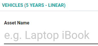 Assets model button in ViableView Accounting