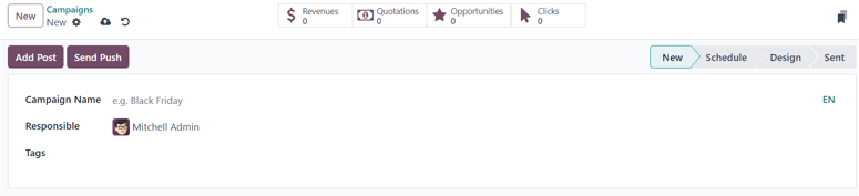 View of the blank campaign form in ViableView Email Marketing.