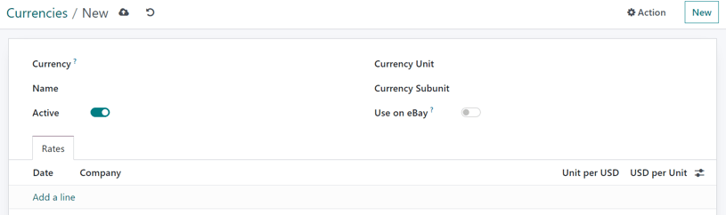 How a blank currency detail form looks in ViableView Accounting.