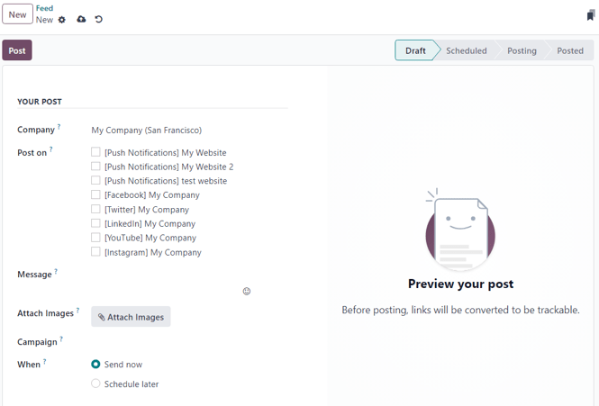 Blank social media post detail page in ViableView Social Marketing.