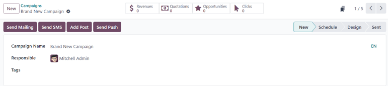 View of the campaign form in ViableView Email Marketing.