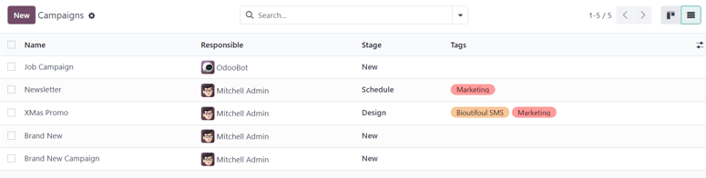 View of the campaign page in list view in ViableView Email Marketing.