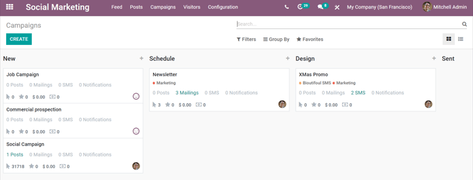 View of the campaigns page in the ViableView Social Marketing application.
