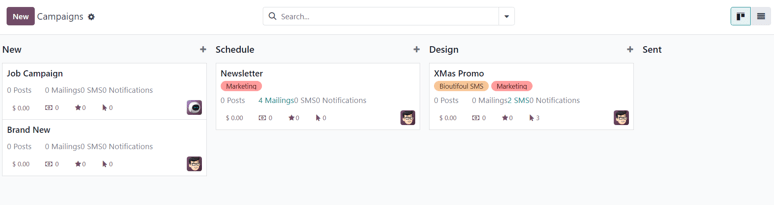 View of the campaign page in ViableView Email Marketing.