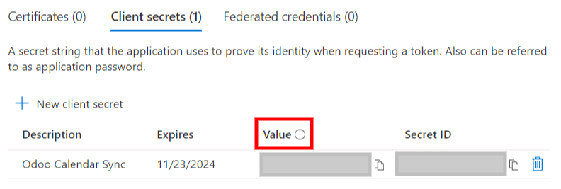 The "Client Secret" token to be copied from Microsoft to ViableView.