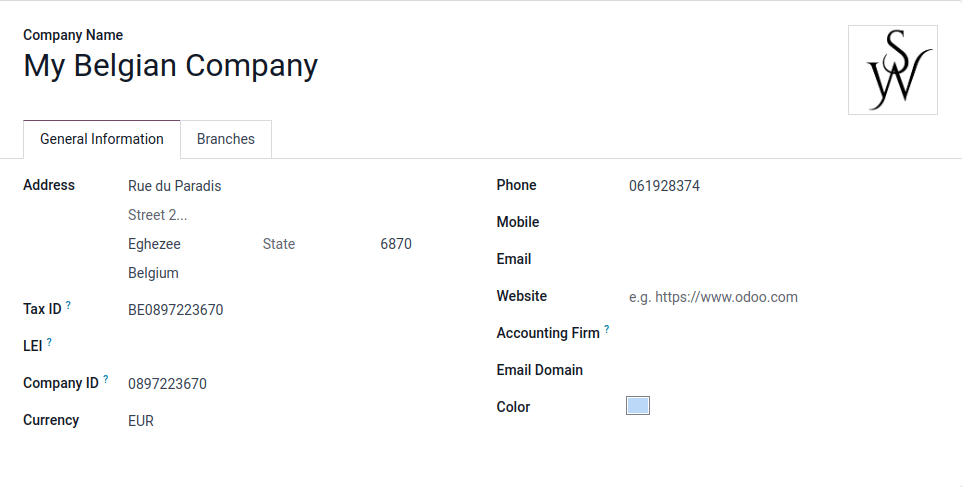 Overview of a new company's form in ViableView.