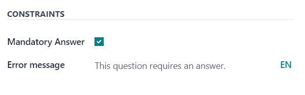 The Constraints section in the options tab in ViableView Surveys.
