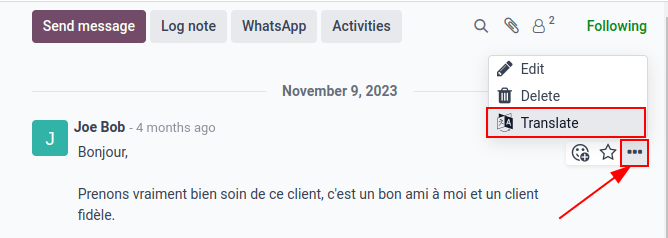 Google Translate present in an ViableView database's chatter.
