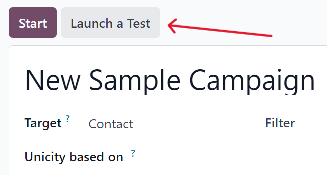 Launch a test button on a campaign detail form in ViableView Marketing Automation.