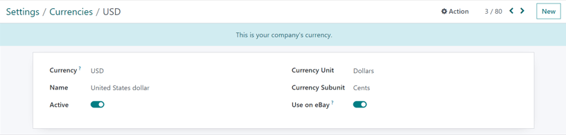 How a main currency detail form looks in ViableView Accounting.