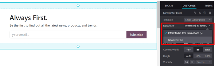 The newsletter drop-down menu in the customize sidebar that appears in ViableView Website.