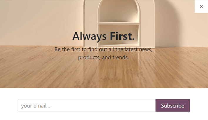 Sample of how a newsletter popup block appears on an ViableView Website.