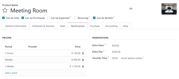 How the Settings page appears in the ViableView Rental application.
