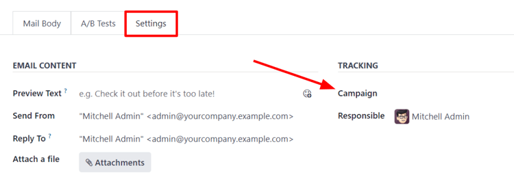 View of settings tab in ViableView Email Marketing when campaign setting is activated.