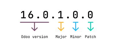 Module versioning